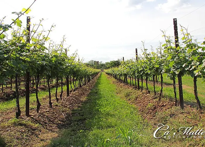 Agriturismo Ca\'Mattei
